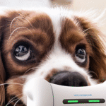 Tecnologia para pets: novidades que vão transformar o cuidado com seu animal